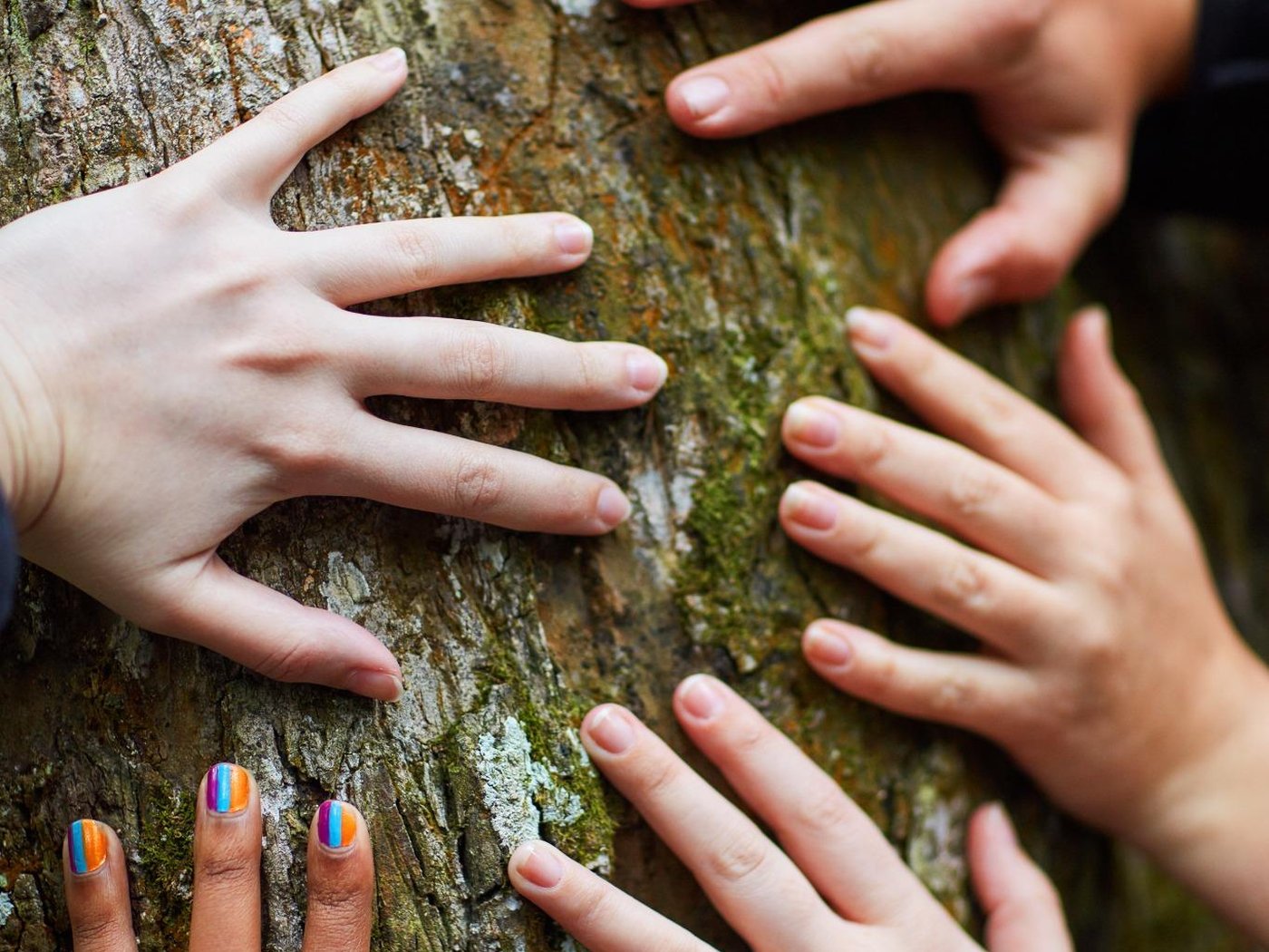 Ancrage et sécurité